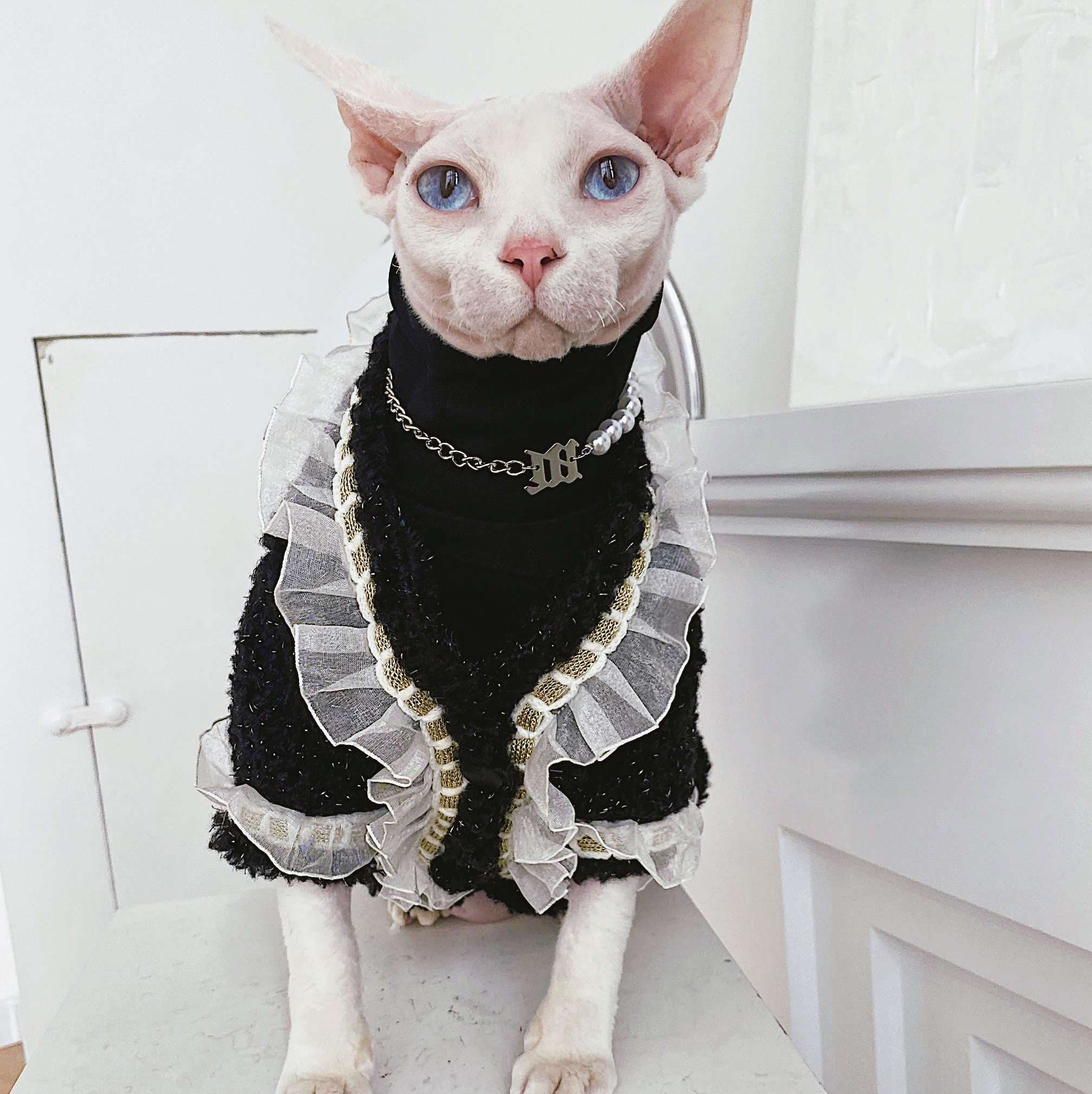 猫服  スフィンクス | 貴族風フリルドレス スフィンクス用