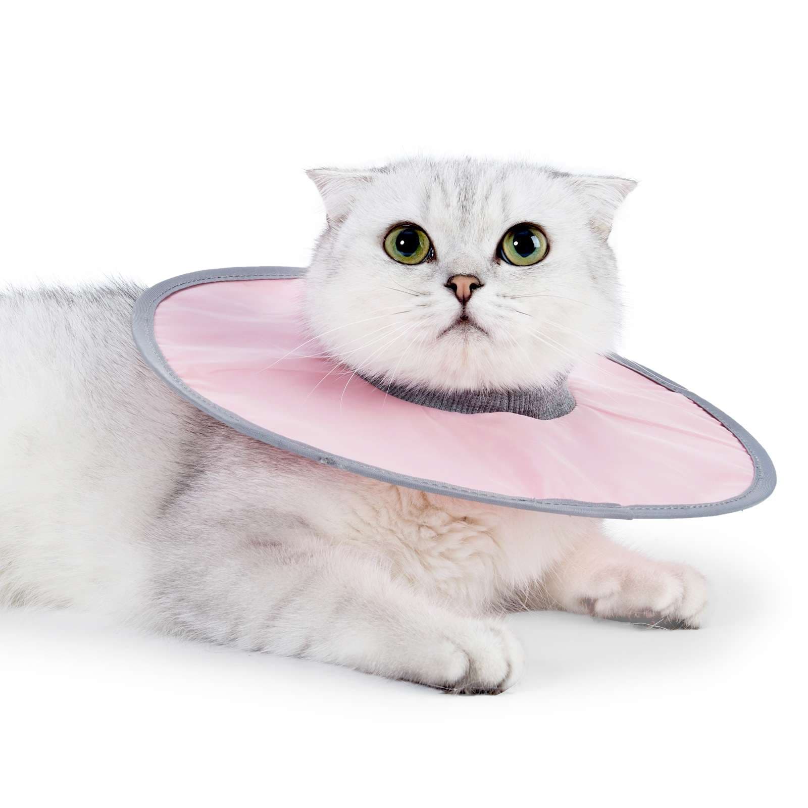 猫服 猫 エリザベスカラー | もふもふ猫さま用やすらぎカラー