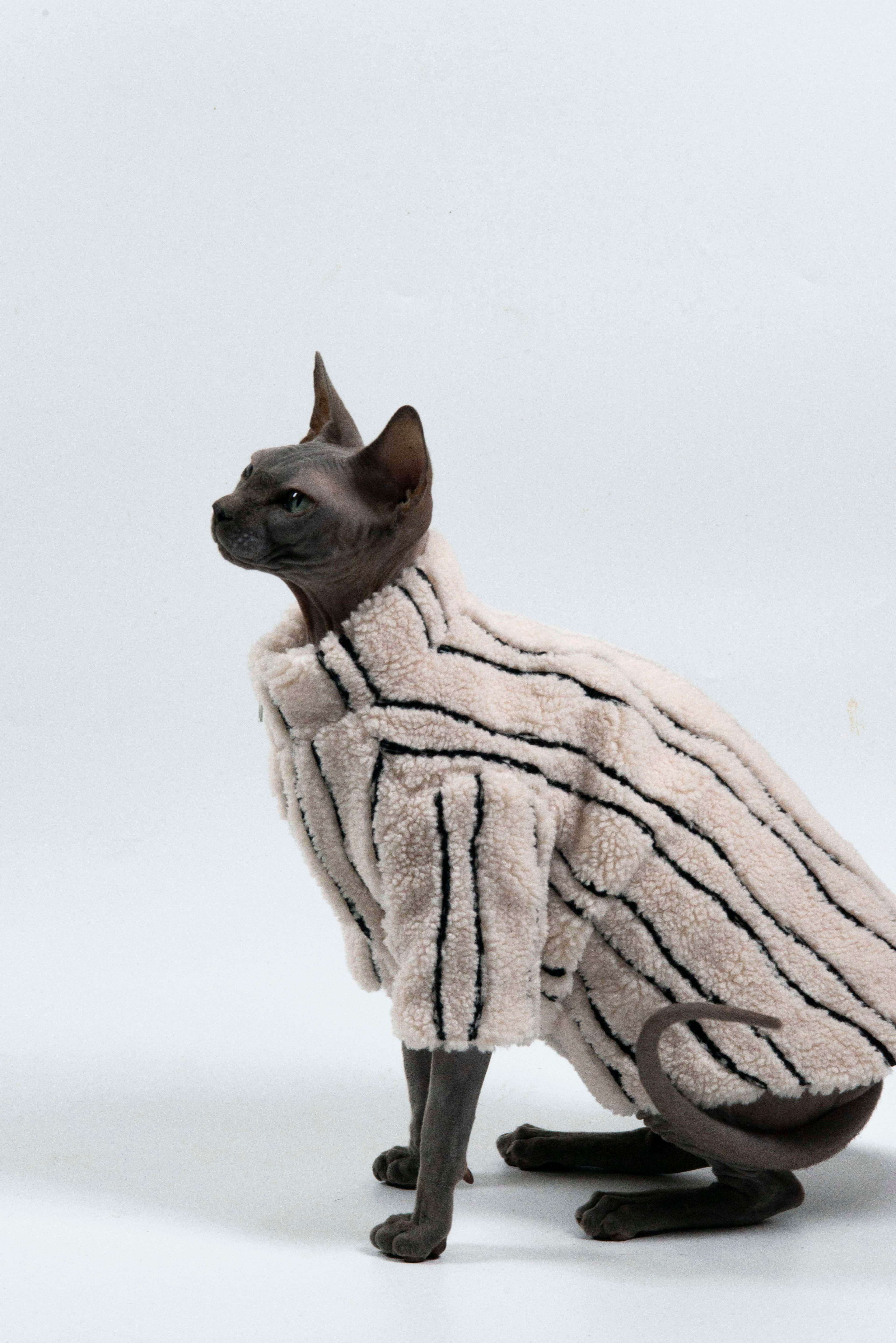 猫服  スフィンクス | スフィンクスの防寒ファーコート