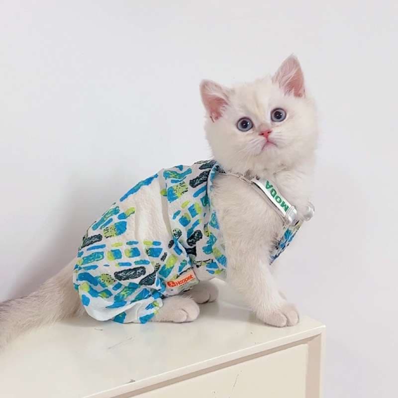 猫服  洋服 | もこもこクマさん柄キャットロンパース