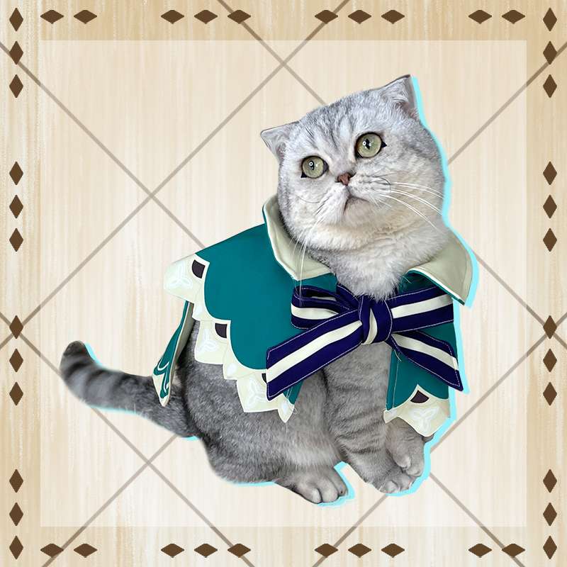 猫服  コスプレ | 妖精騎士風の猫用コスチューム