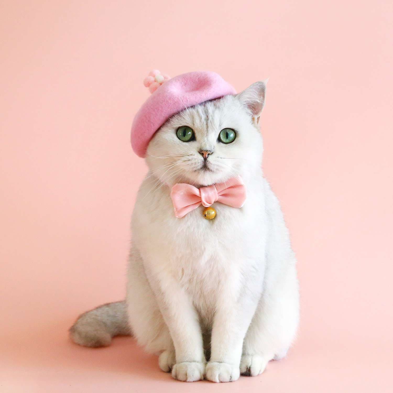 猫服  帽子 | お花のベレー帽
