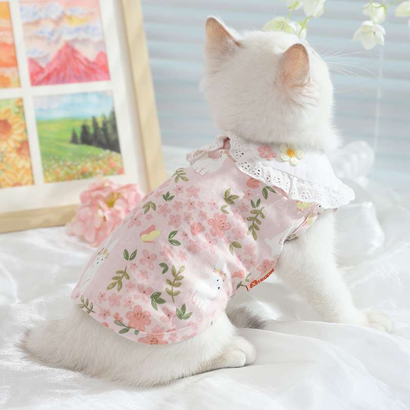 猫服  洋服 | ふんわりレース襟の猫用ワンピース