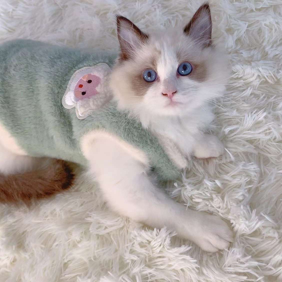 猫服  防寒服 | モフモフ天使のおくるみワンピース