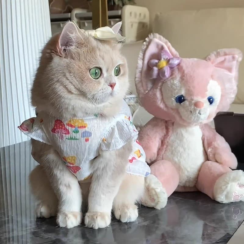 猫服  きのこ模様のフリルワンピース