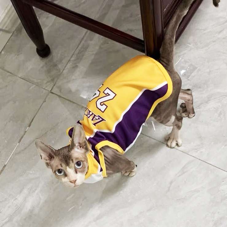 猫服  術後服 | スポーツチーム風ペット術後服