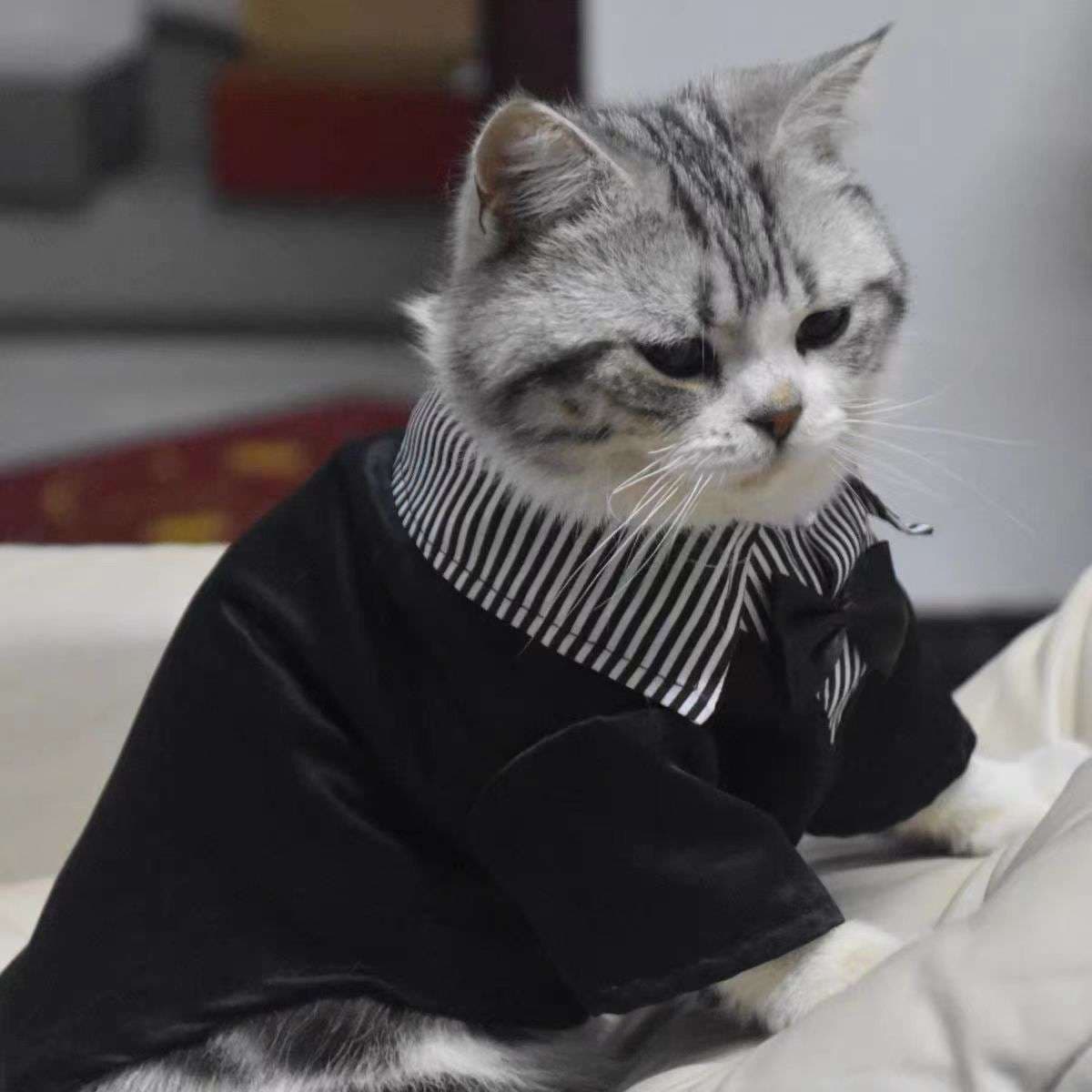 猫服  洋服 | 紳士風ネコ用タキシード