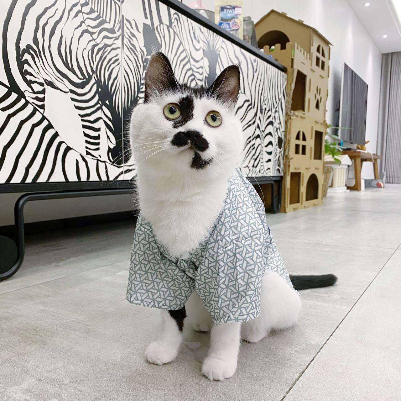 猫服  コスプレ | 和風猫用浴衣