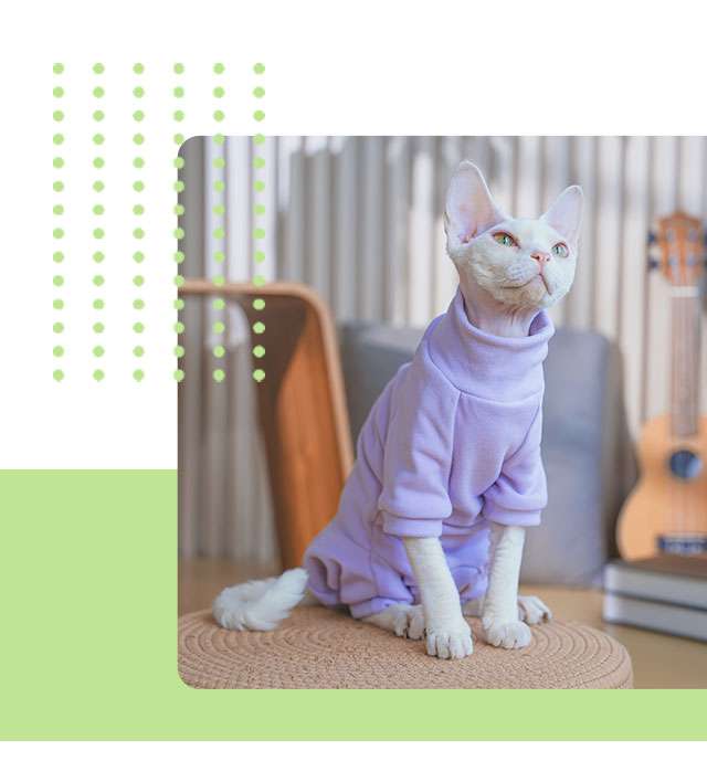 猫服  スフィンクス | もこもこパーカー