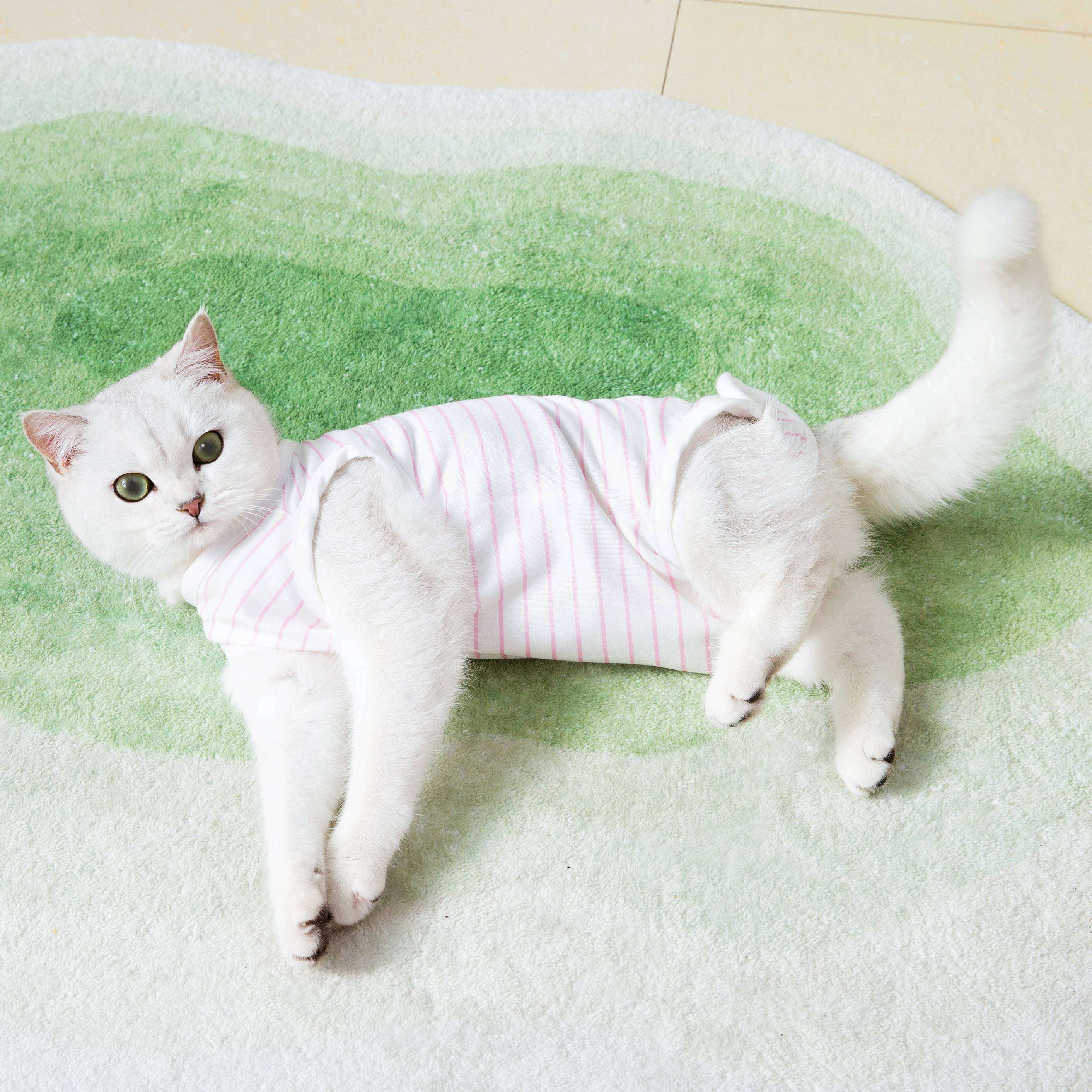 猫服  術後服 | もふもふ猫ちゃんの優しい術後ウェア