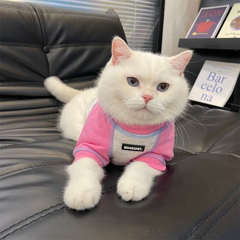 猫服  洋服 | ペット用おしゃれカジュアルウェア3点セット