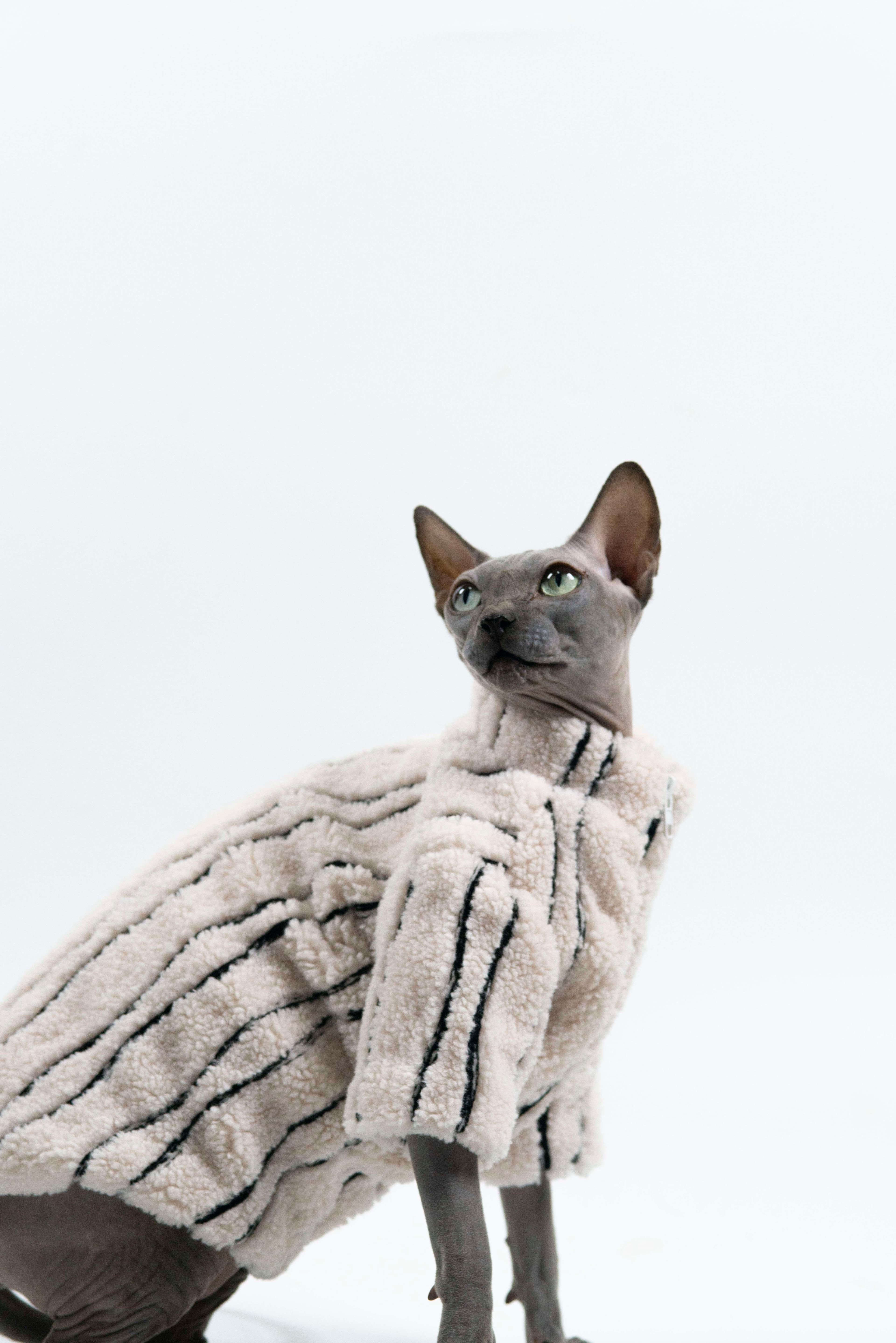 猫服  スフィンクス | スフィンクスの防寒ファーコート