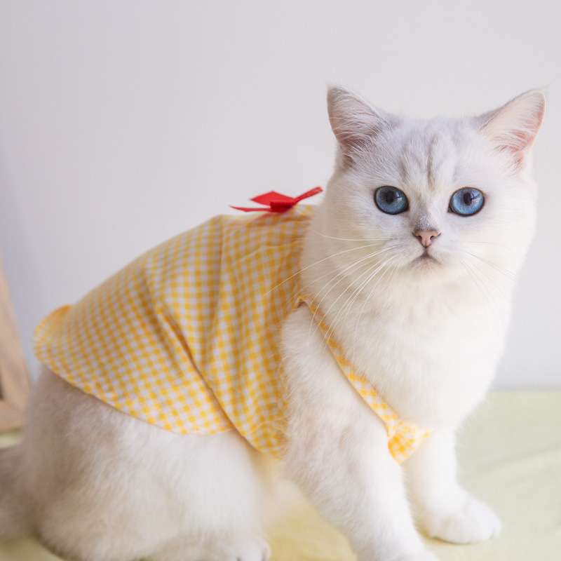 猫服  洋服 | 花柄ワンピース風猫用ベスト