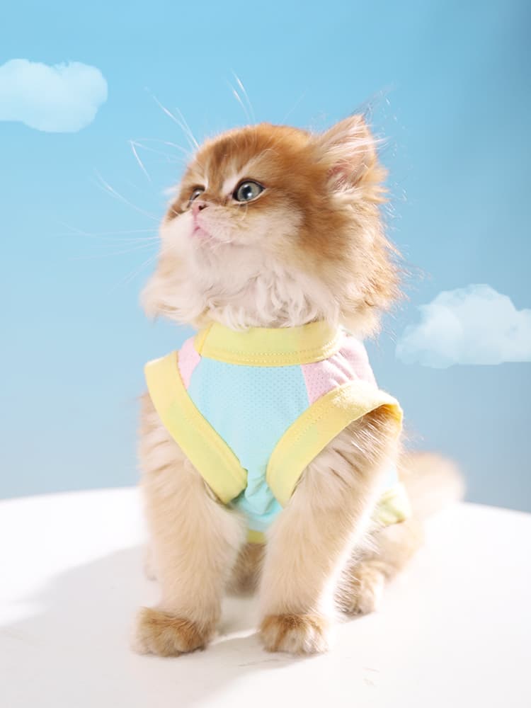 猫服  ふんわり優しいメッシュタンクトップ