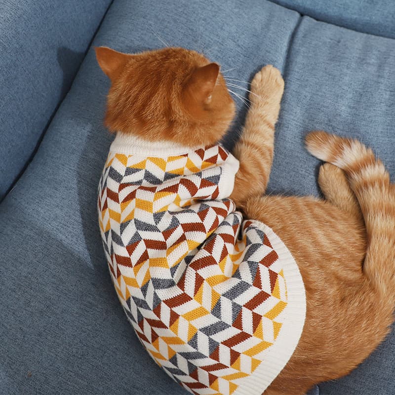 編み込みニット猫用洋服