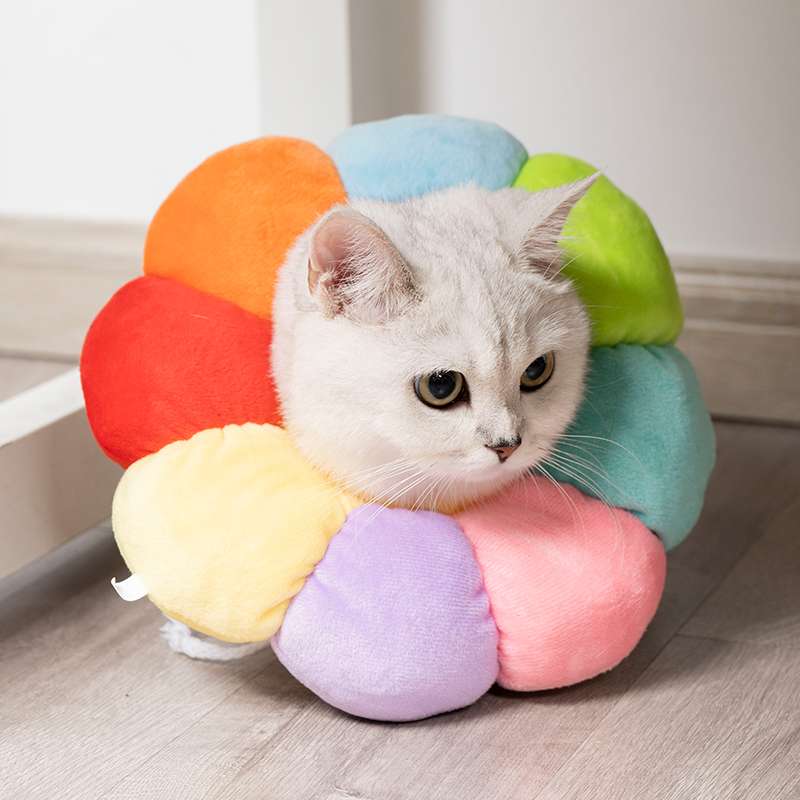 猫服 猫 エリザベスカラー | ふわふわ花びら型エリザベスカラー