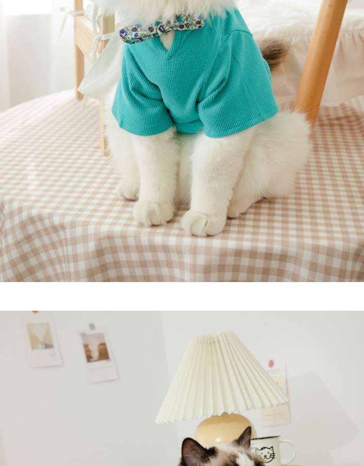 猫服  洋服 | ふわもこ猫ちゃんの季節のお洒落トップス