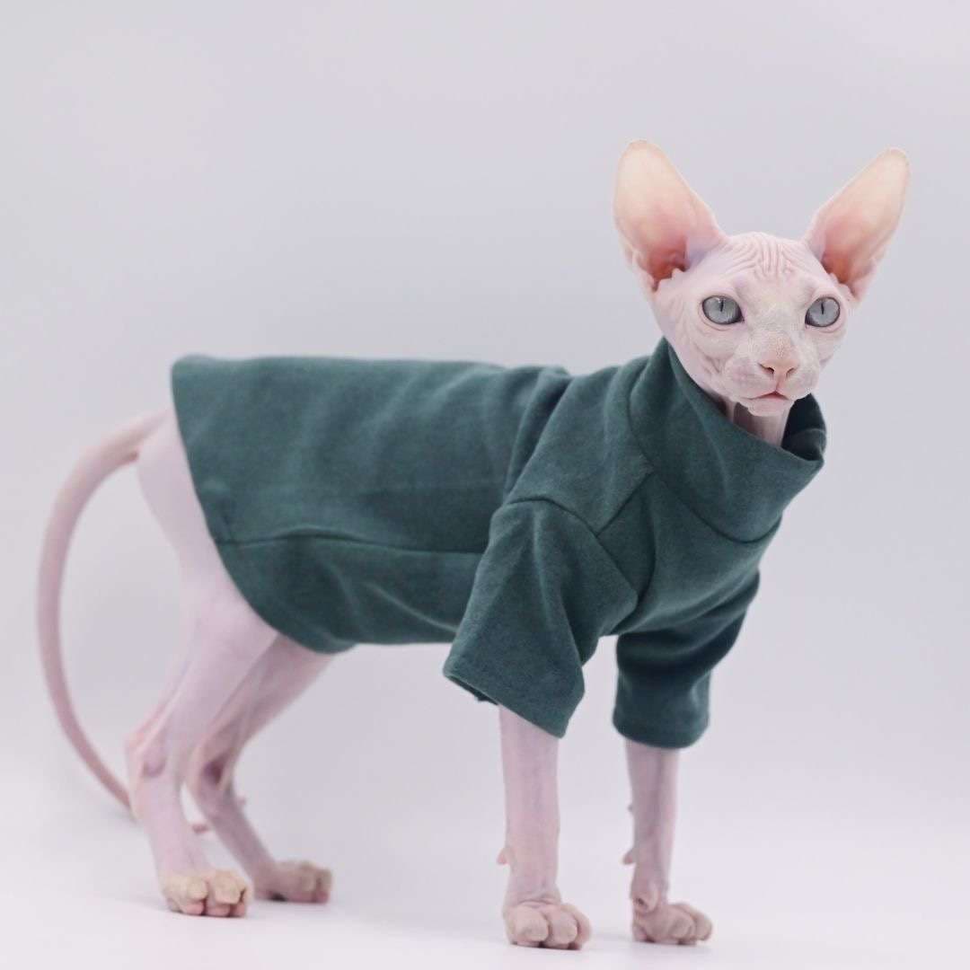 猫服  スフィンクス | スフィンクスの癒し術後服