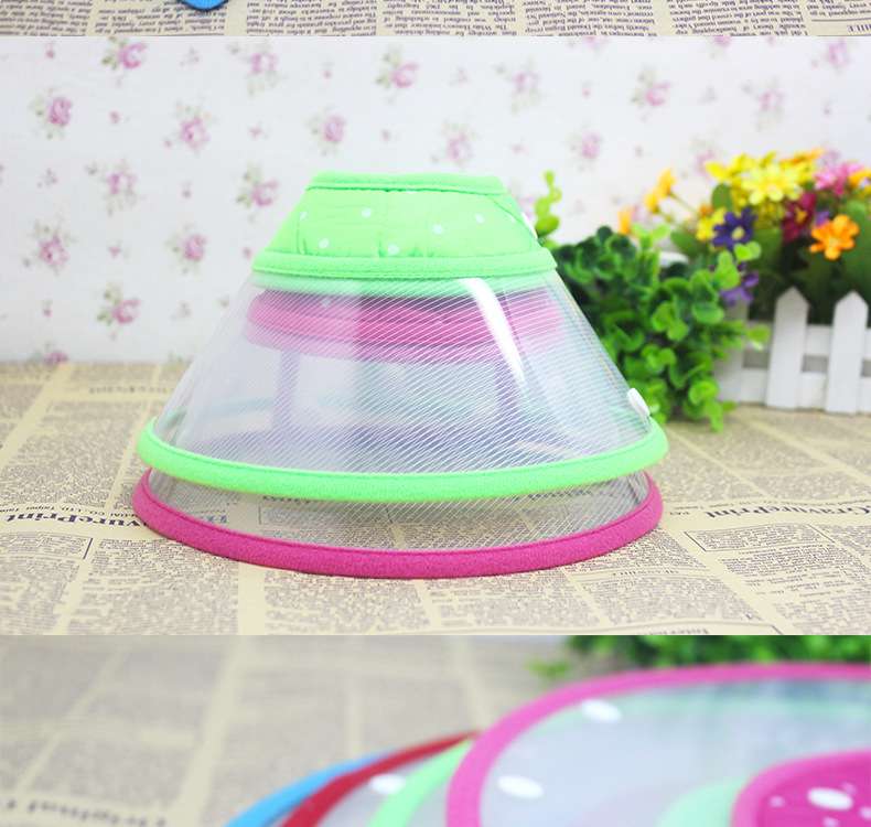 猫服 猫 エリザベスカラー | ペットの健康守護具