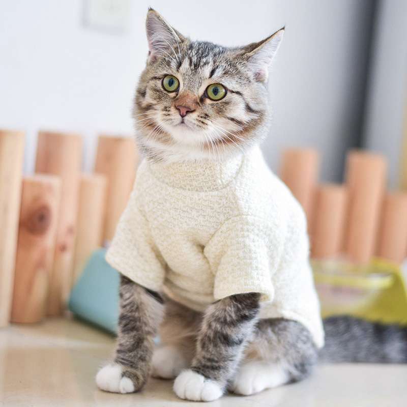猫服  防寒服 | ねこちゃんの季節のニットウェア