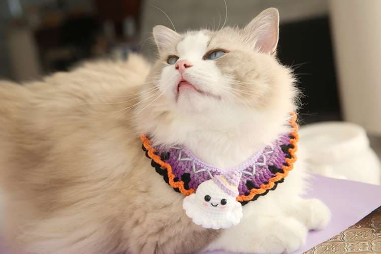猫服  コスプレ | ハロウィン猫ちゃん用コスチューム