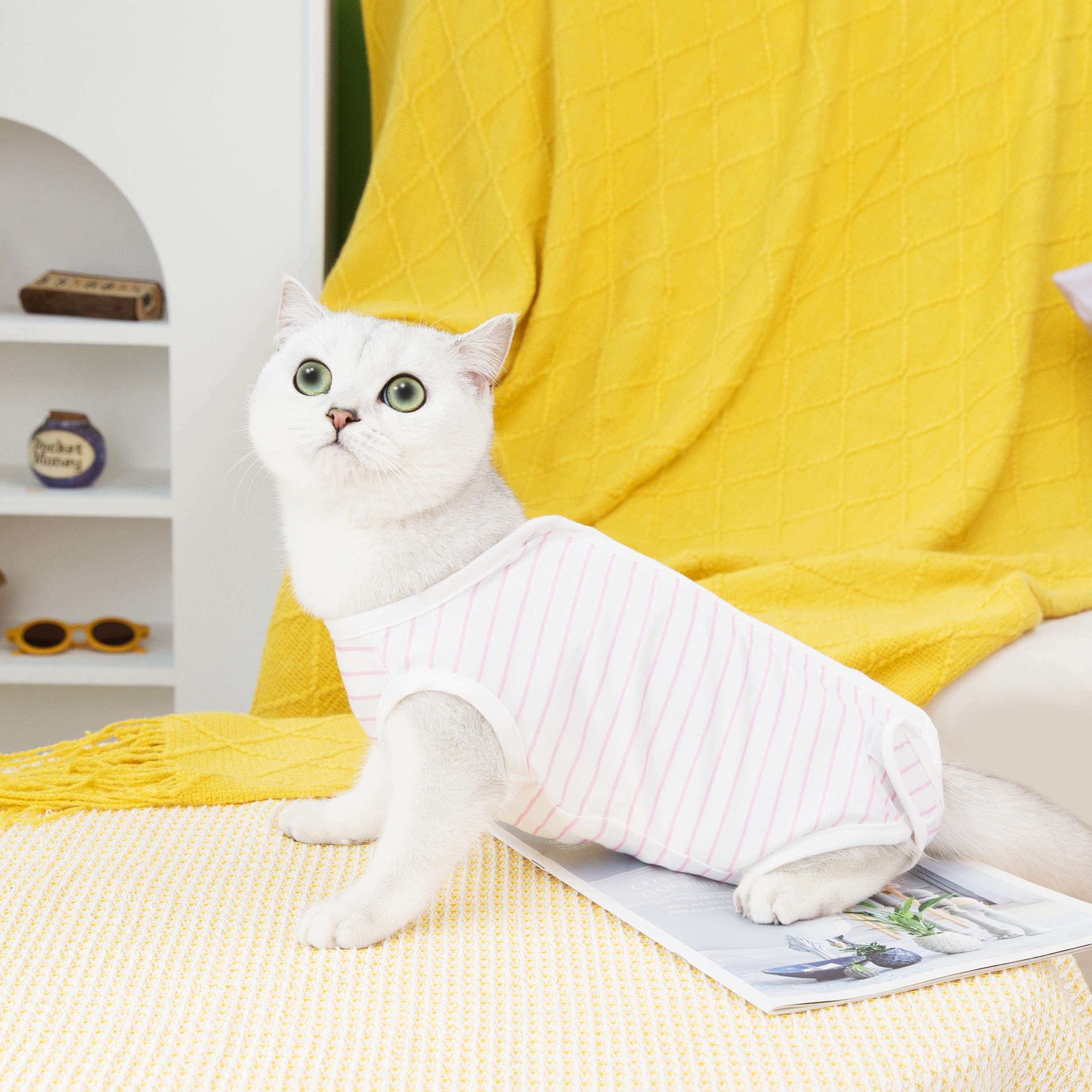 猫服  術後服 | もふもふ猫ちゃんの優しい術後ウェア