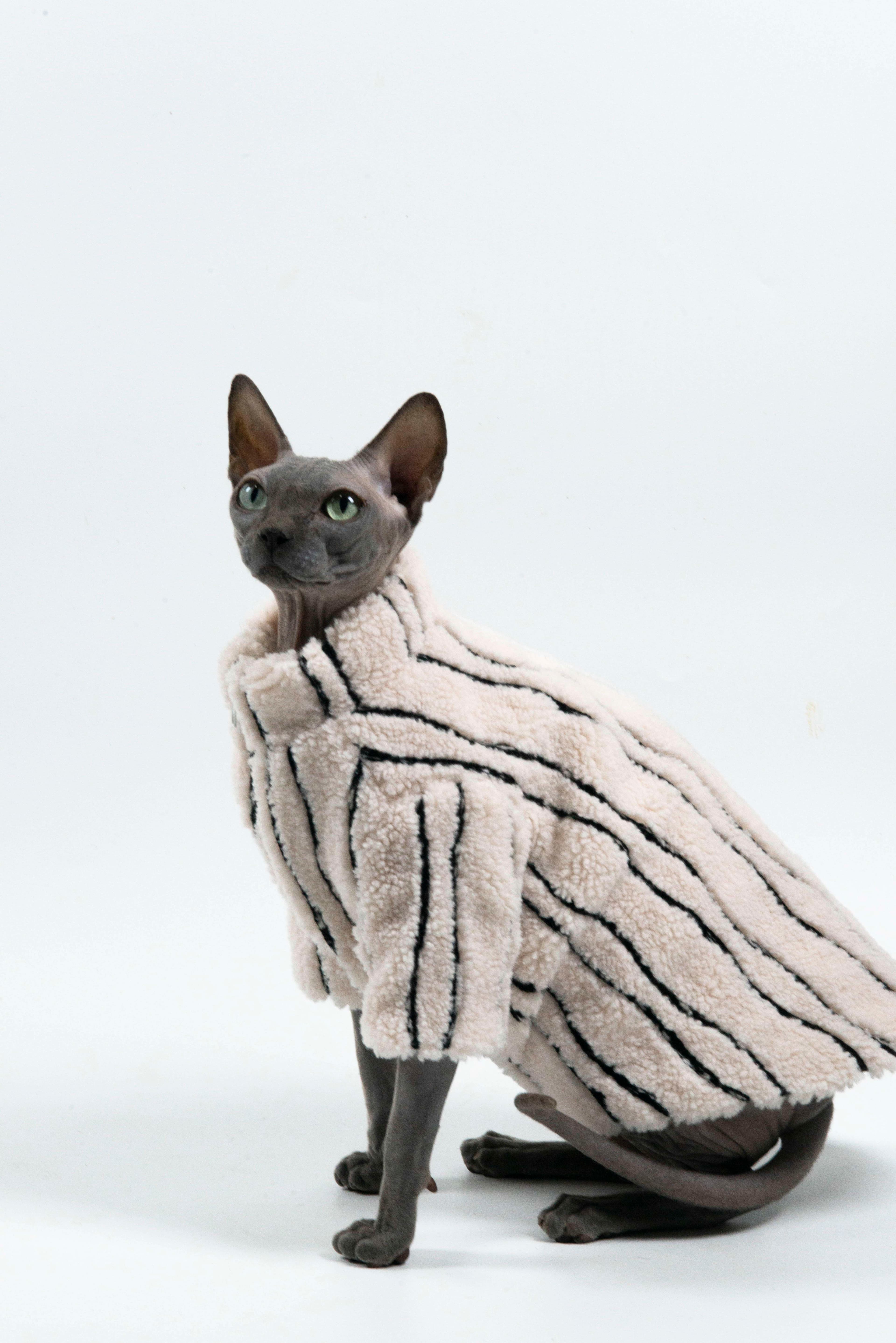 猫服  スフィンクス | スフィンクスの防寒ファーコート