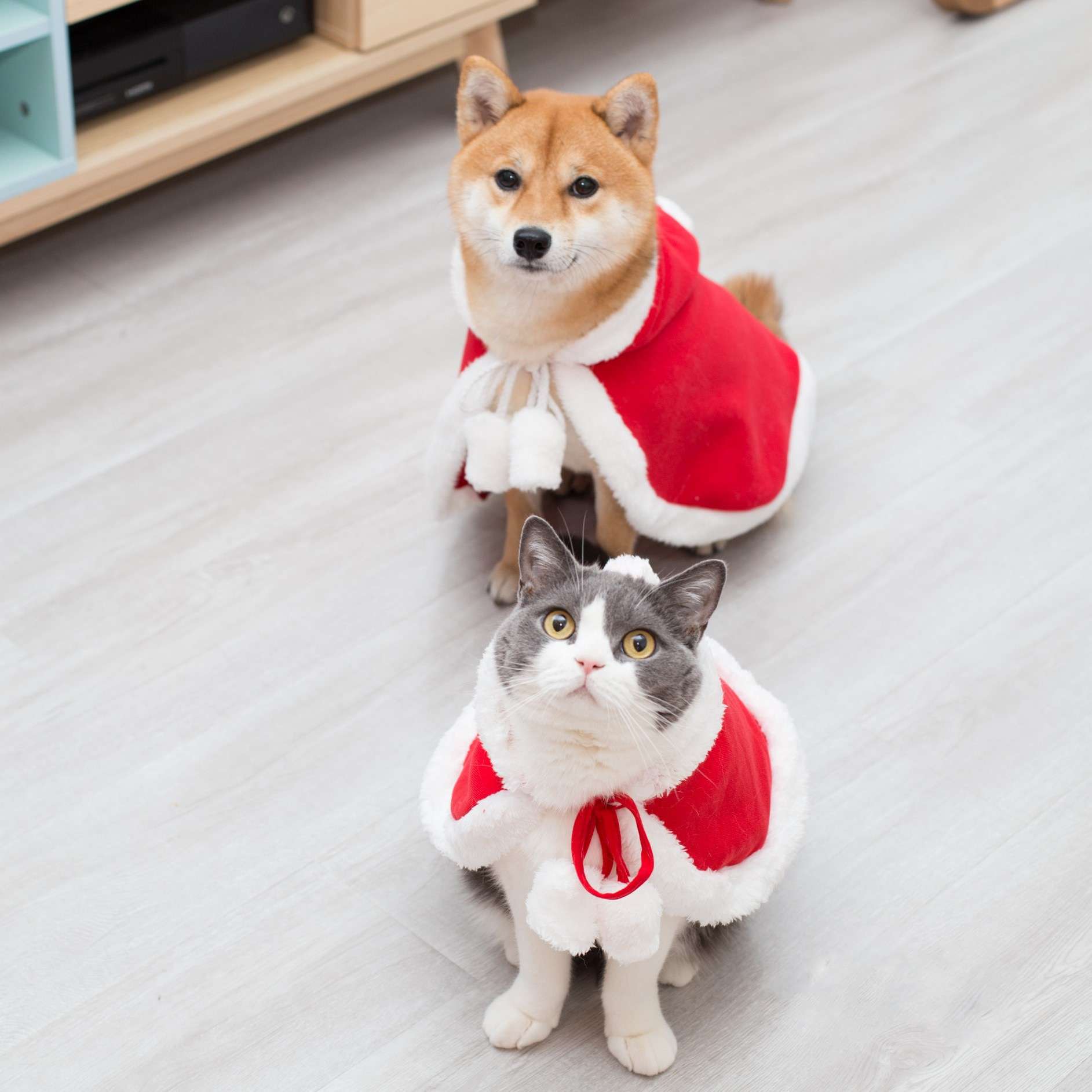 猫服  コスプレ | ペット用サンタクロース風マント