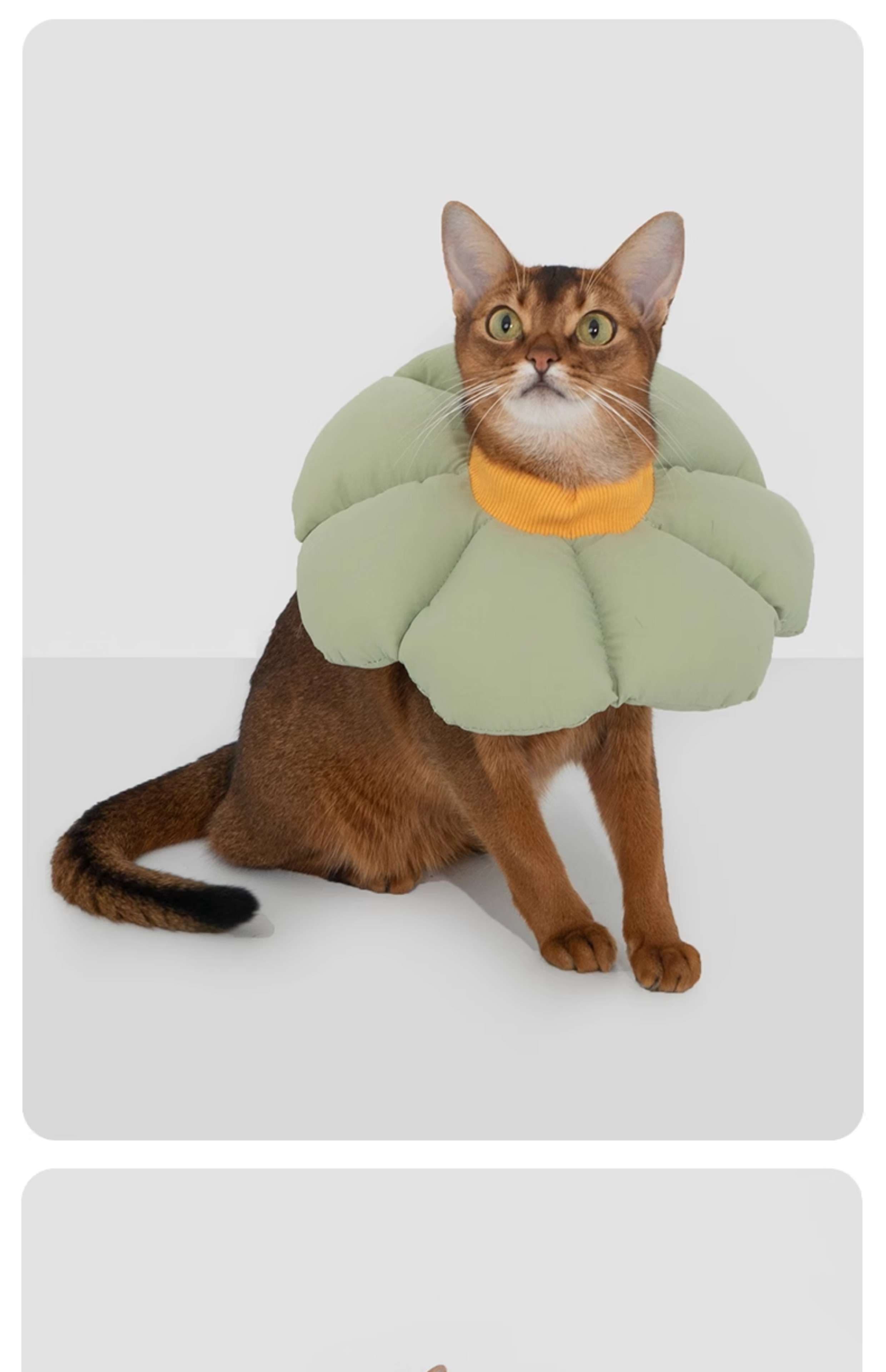猫服 猫 エリザベスカラー | ふわもこ花びらエリザベスカラー