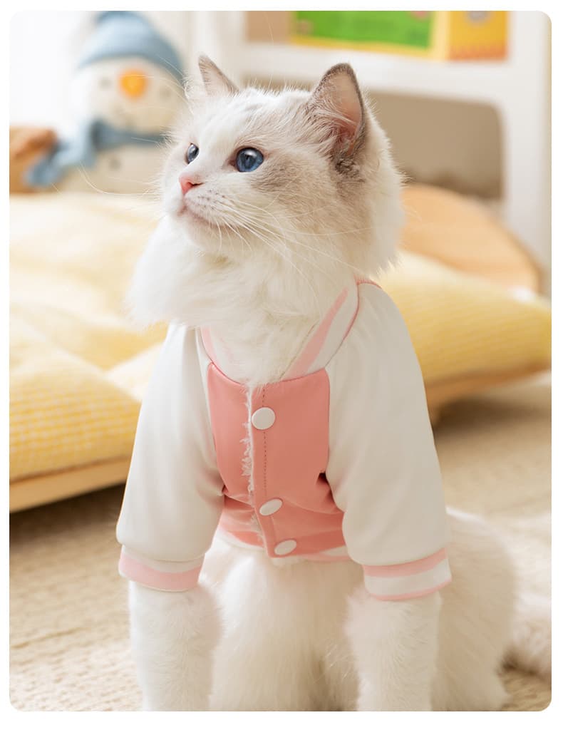 猫服洋服 くまちゃんプリントスタジャン