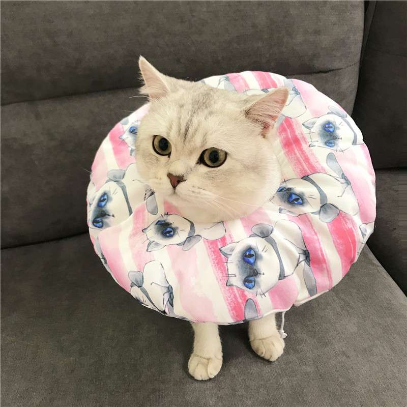 猫服 猫 エリザベスカラー | 猫用かわいいイラスト柄エリザベスカラー