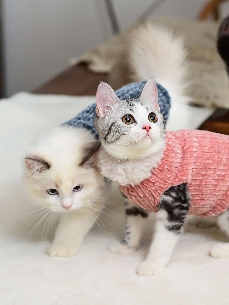 猫服  防寒服 | もこもこ猫ちゃんウォーマー