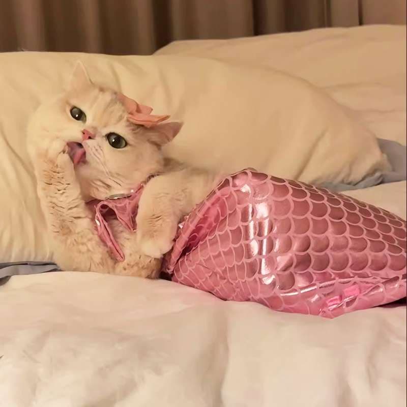 猫服  コスプレ | ふわもこ人魚姫の夢コスチューム