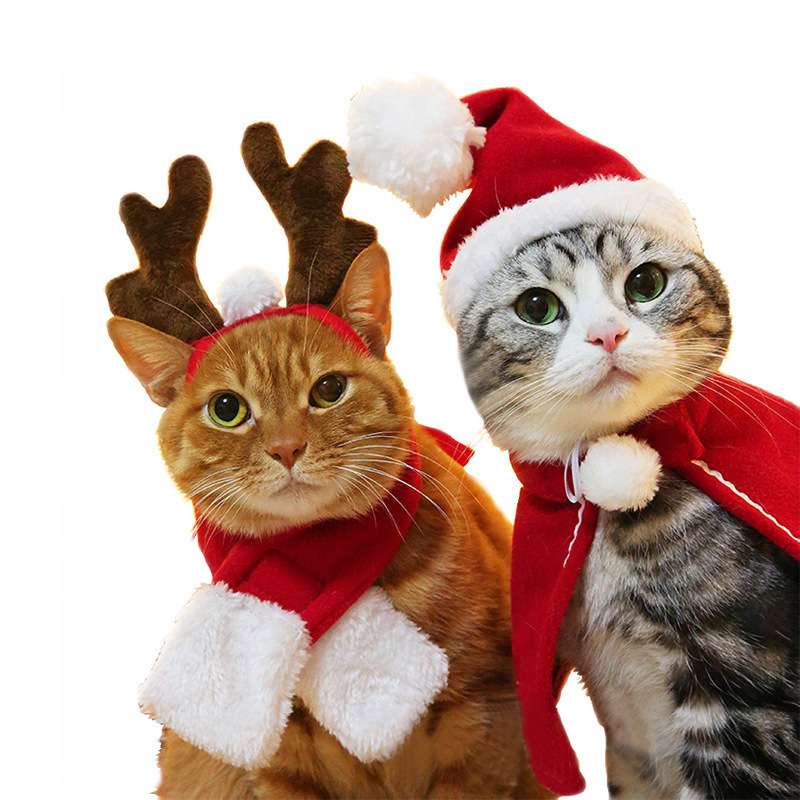 猫服  コスプレ | ねこちゃんのクリスマスコスプレ3点セット