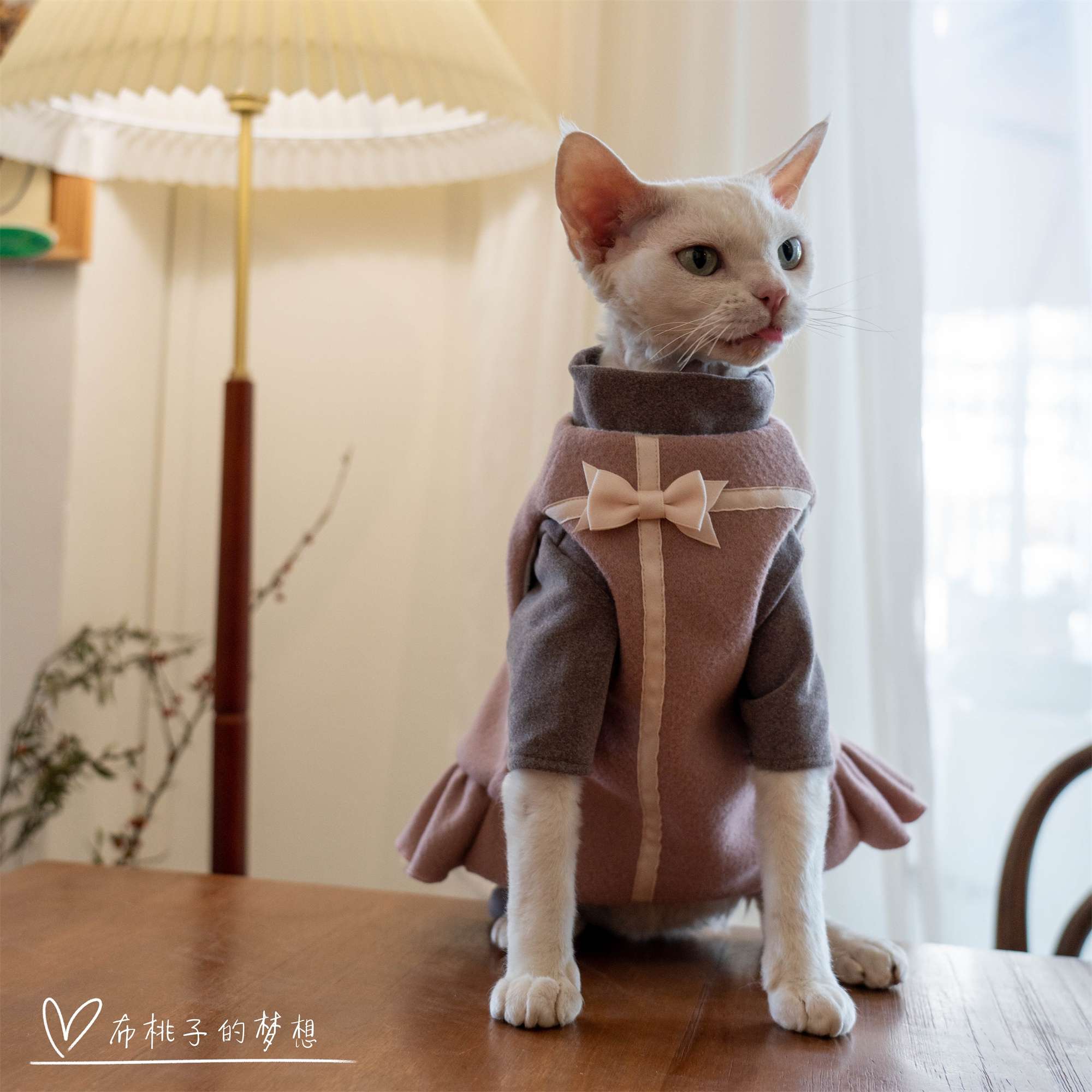 猫服  洋服 | ふわもこ猫ちゃんドレスコート