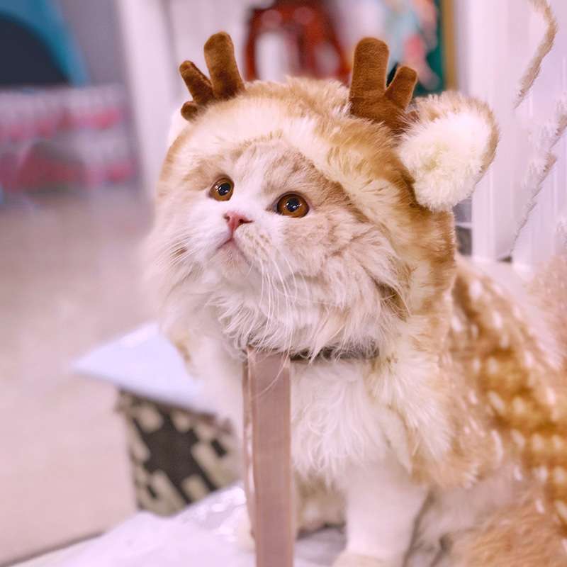 猫服  コスプレ | もこもこトナカイ変身ペット服