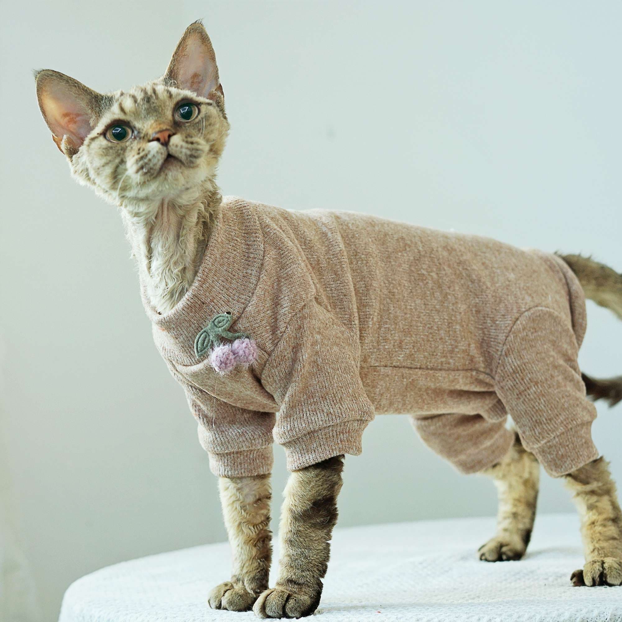 猫服  防寒服 | もこもこ温か ニットロンパース