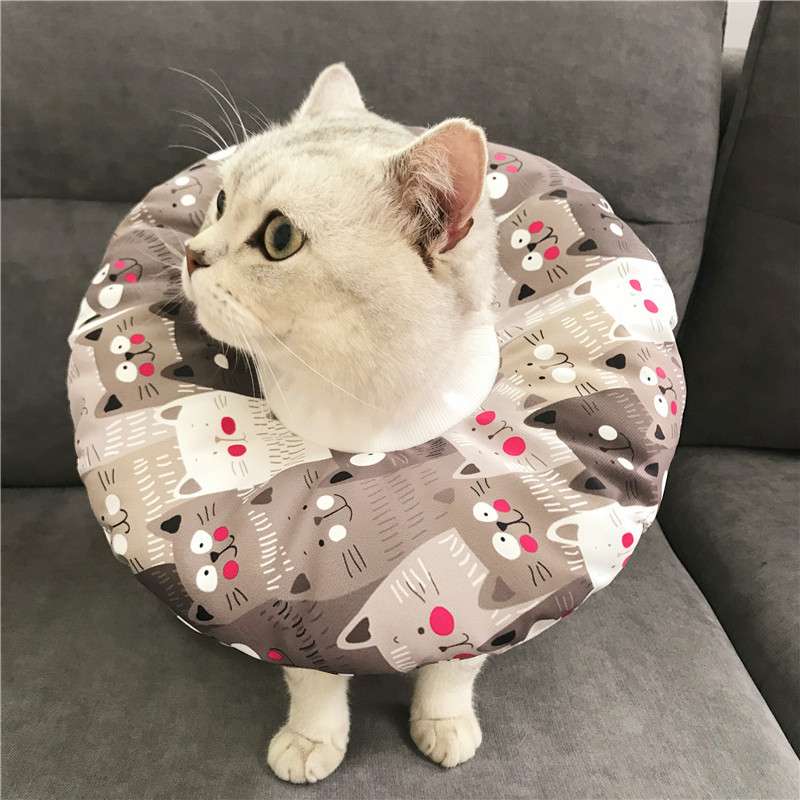 猫服 猫 エリザベスカラー | 猫用かわいいイラスト柄エリザベスカラー