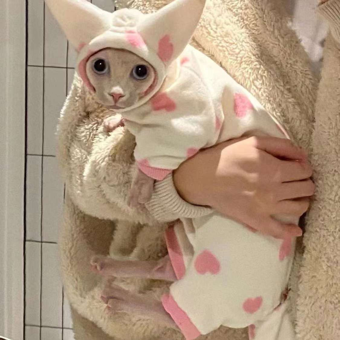 猫服  防寒服 | もふもふ耳付き猫ちゃん用ロンパース