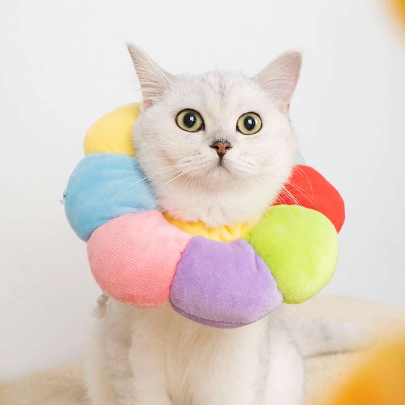 猫服 猫 エリザベスカラー | ふわふわ花びら型エリザベスカラー