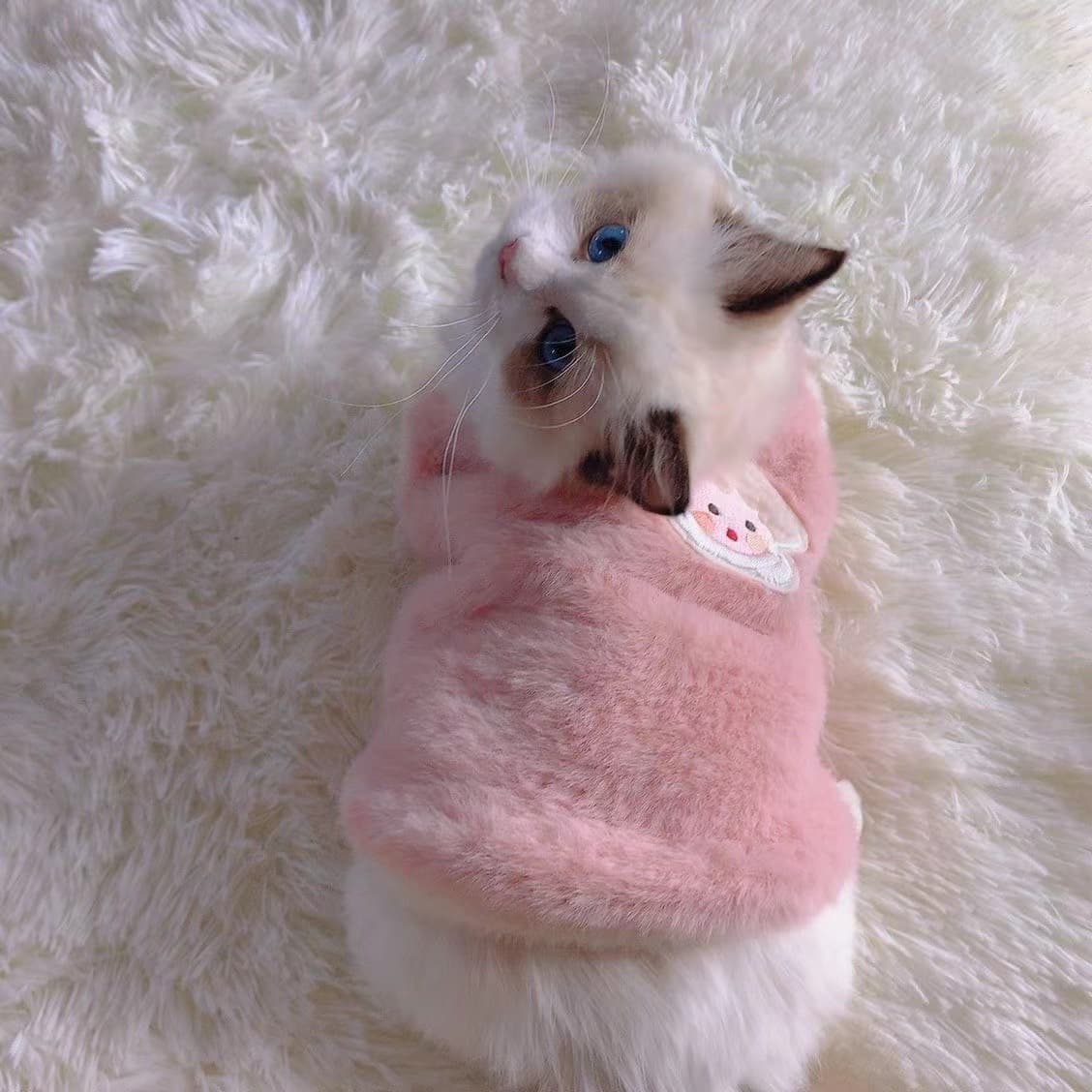 猫服 洋服もこもこ天使羽根付きニットベスト