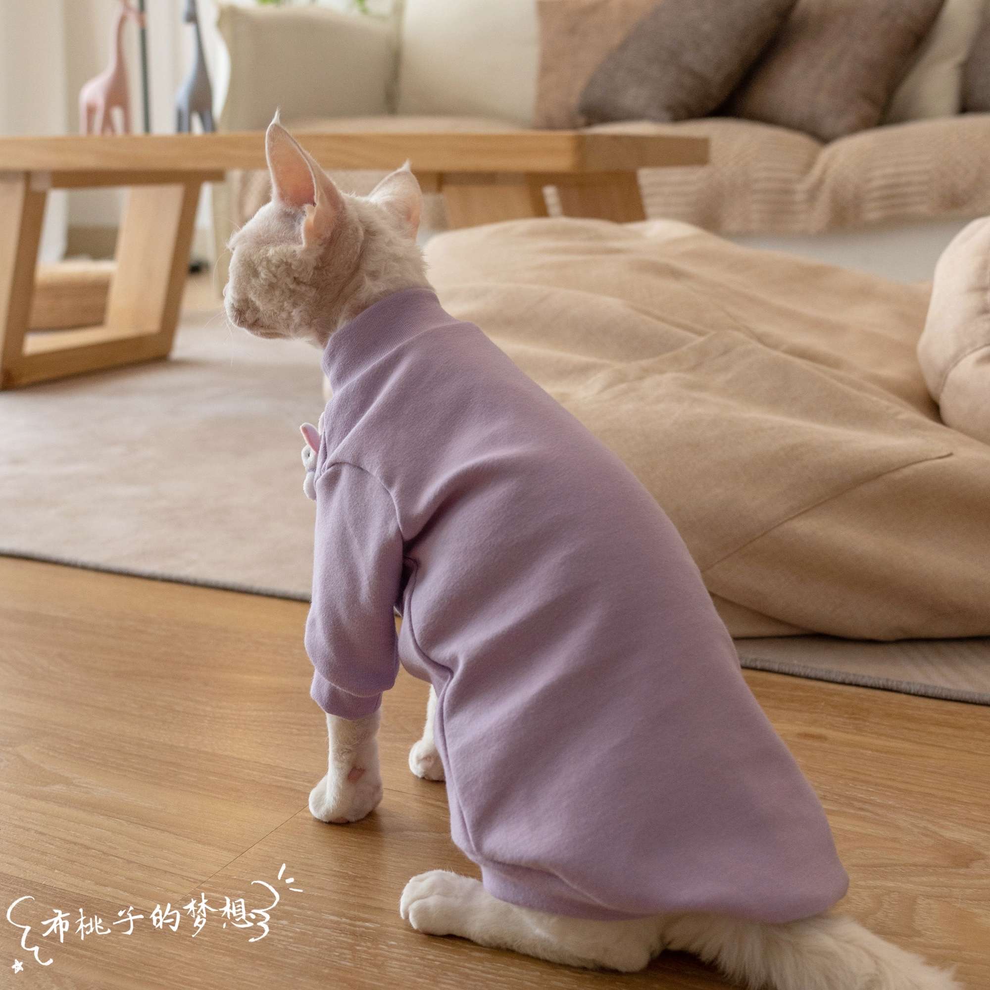 猫服  防寒服 | もこもこウサギの夢パーカー