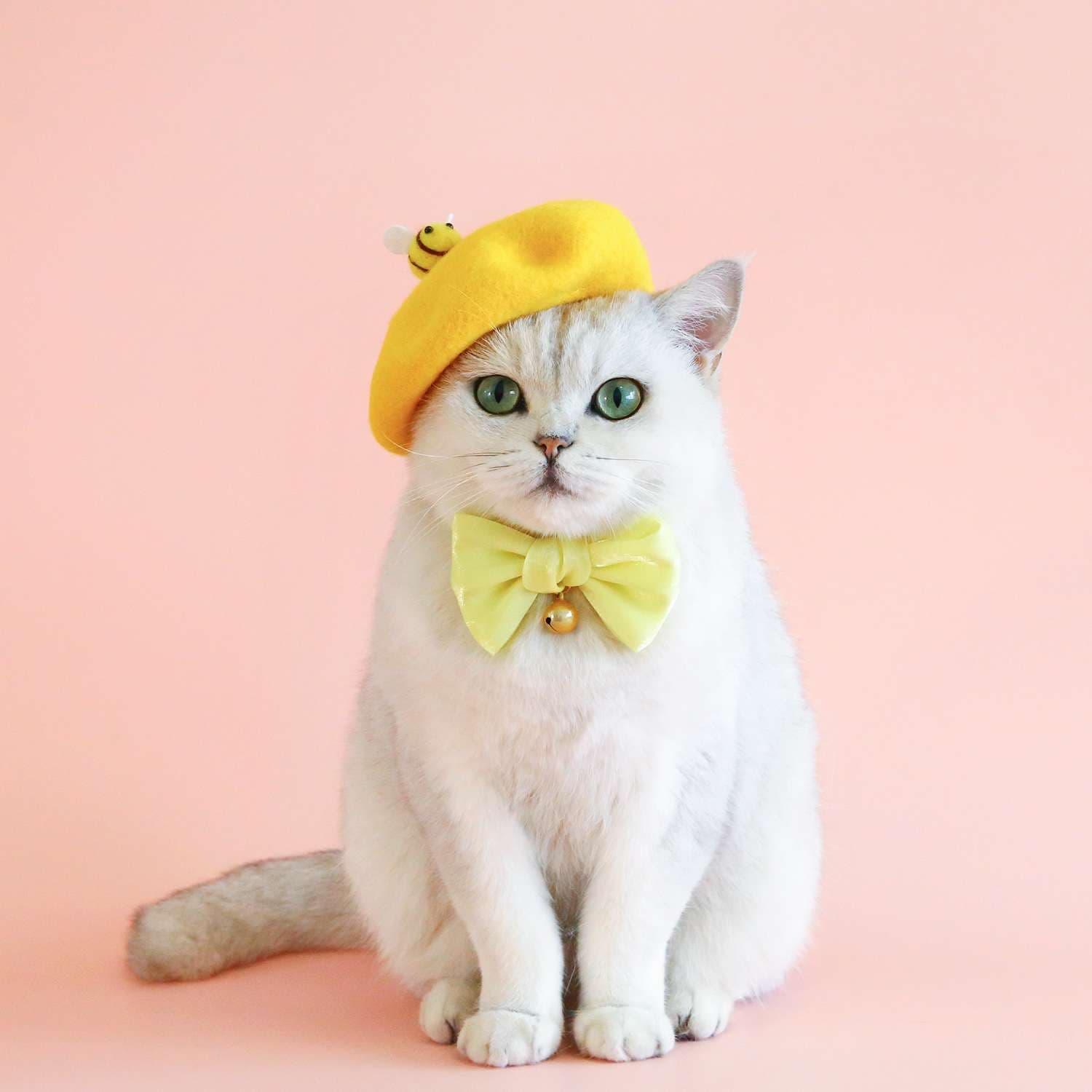 猫服  帽子 | お花のベレー帽