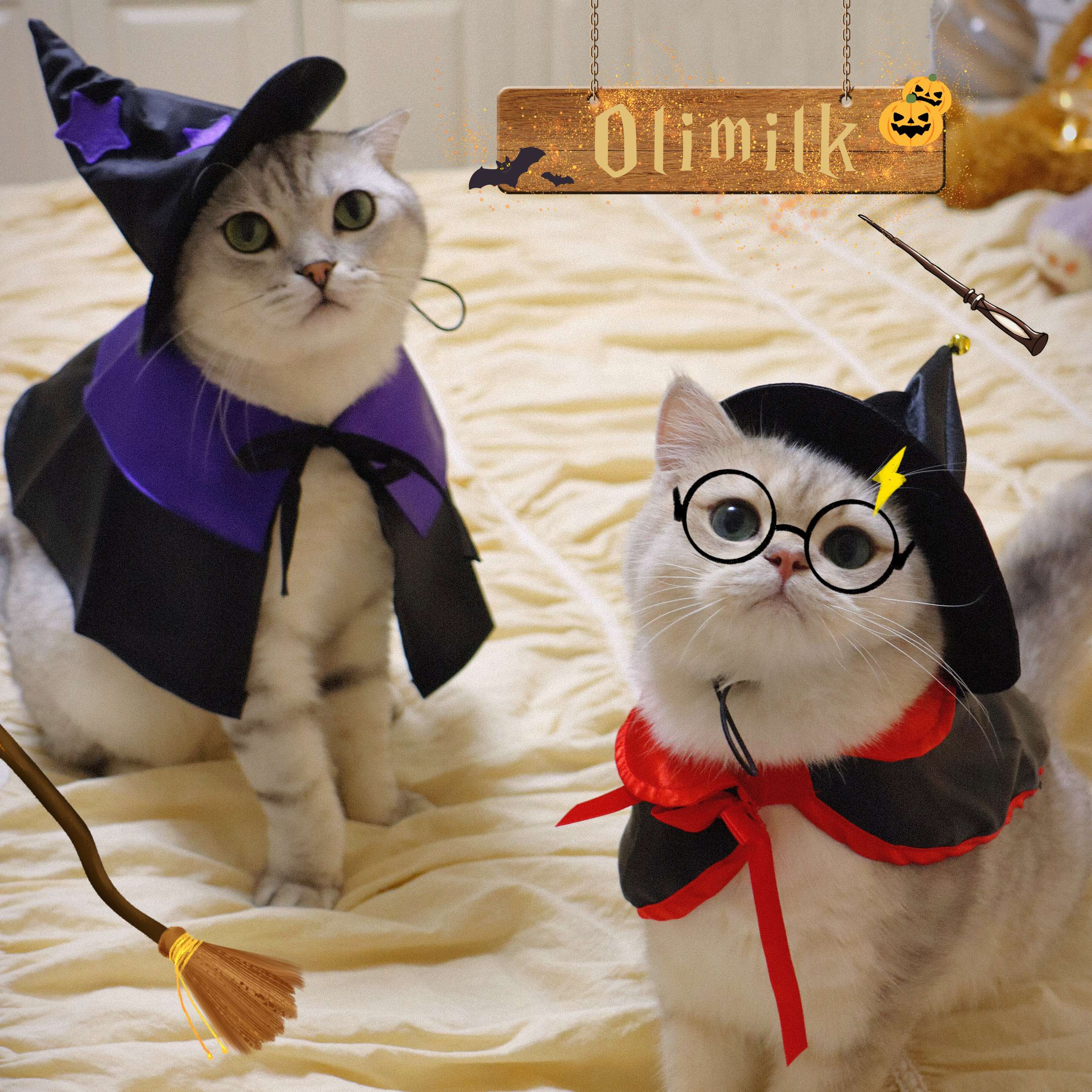 猫服  コスプレ | ハロウィン魔法使い猫コスチュームセット