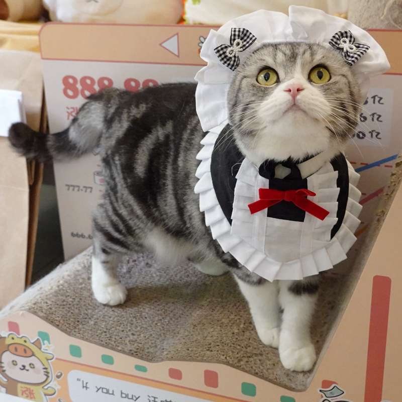 猫服  コスプレ | メイド風フリルエプロン猫用コスチューム