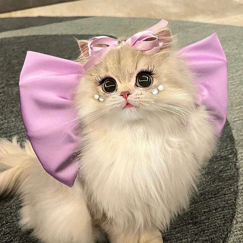 猫服  帽子 | ふわふわ姫様リボン猫耳キャップ