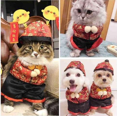 猫服  コスプレ | 猫用職業コスチューム3点セット