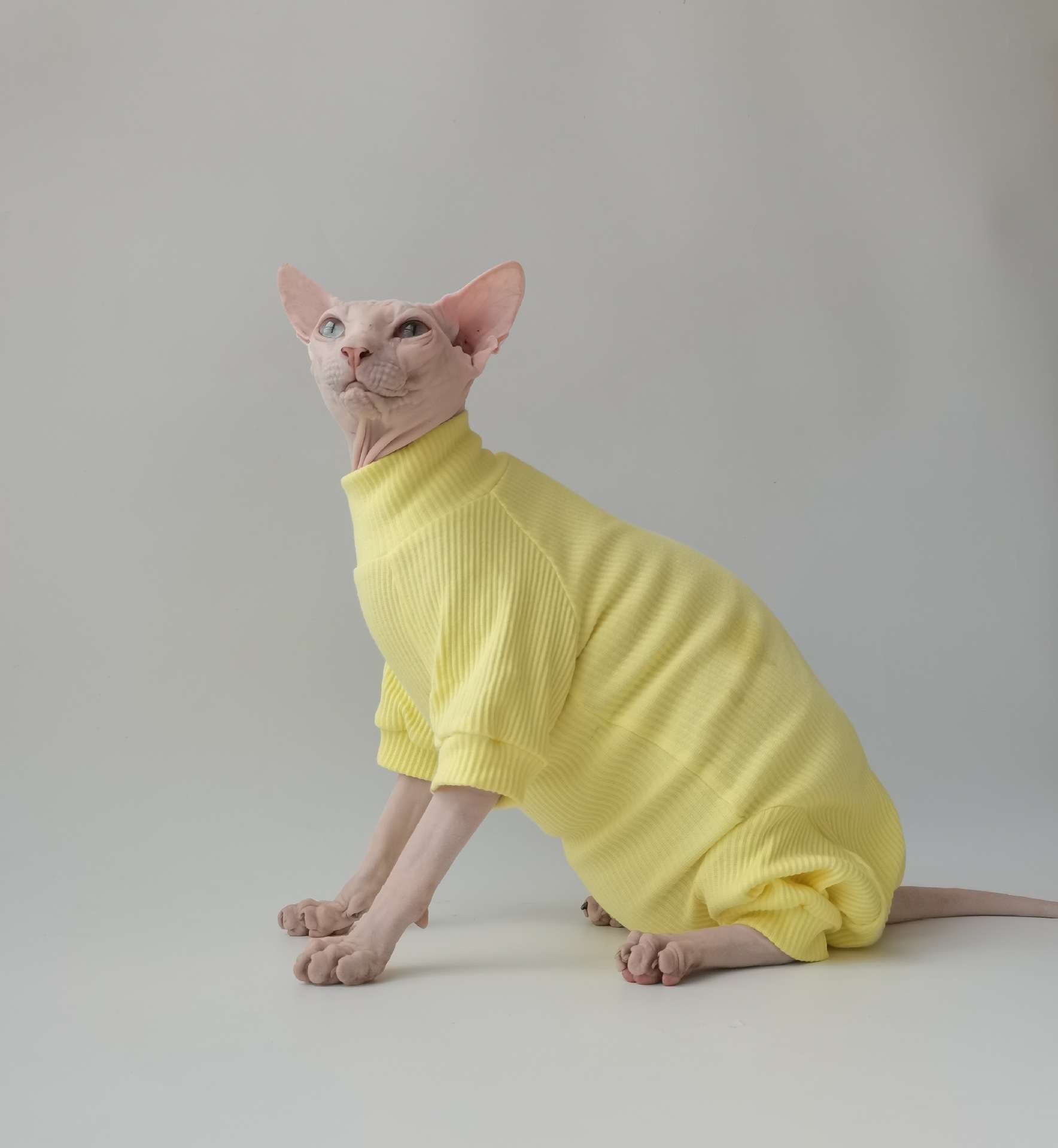 猫服  術後服 | やわらか無毛猫用タートルネック術後服