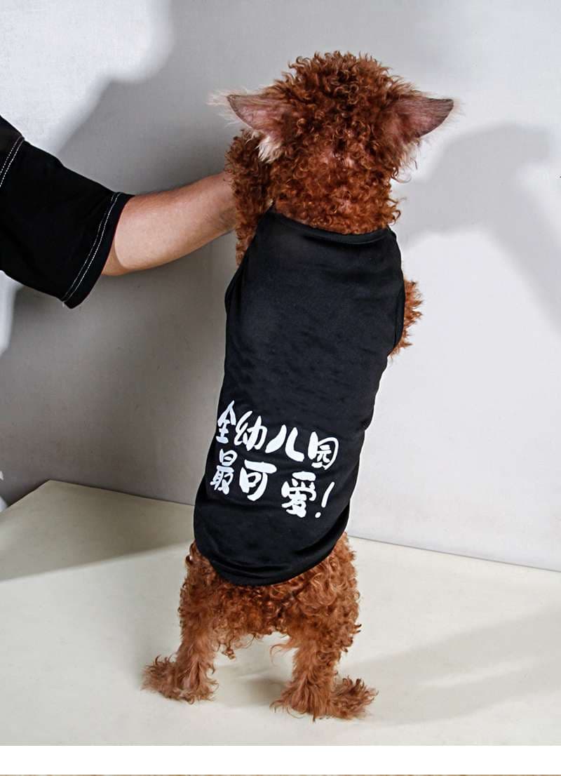 猫服  洋服 | ペット用おしゃれTシャツ