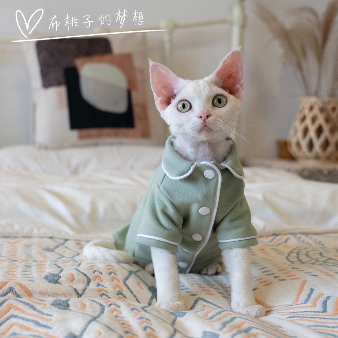 猫服  防寒服 | もふもふ猫ちゃんのおうち着